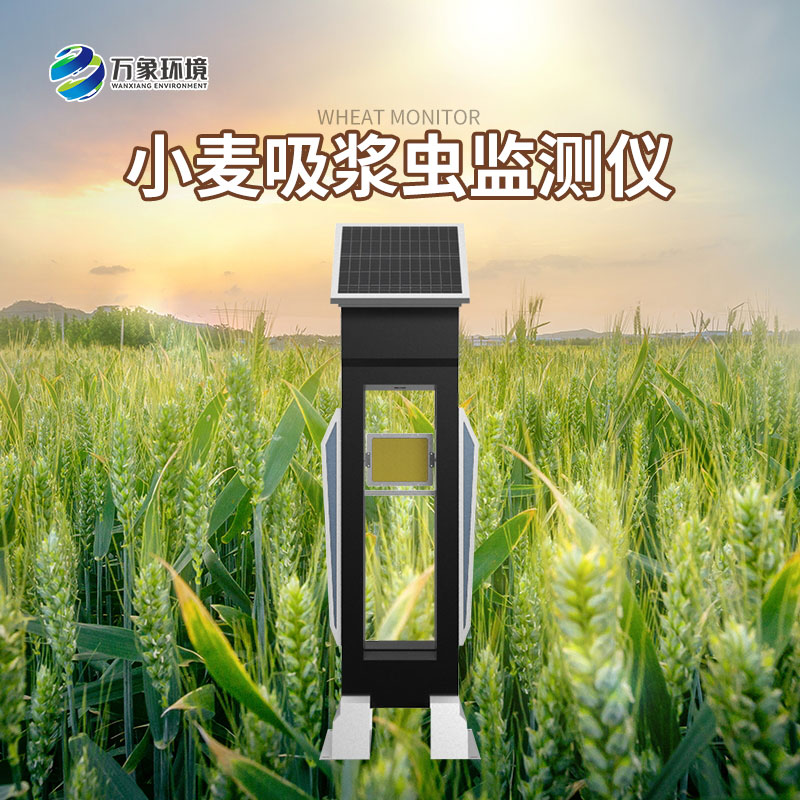 小麥吸漿蟲(chóng)監(jiān)測(cè)儀怎樣監(jiān)測(cè)蟲(chóng)害？